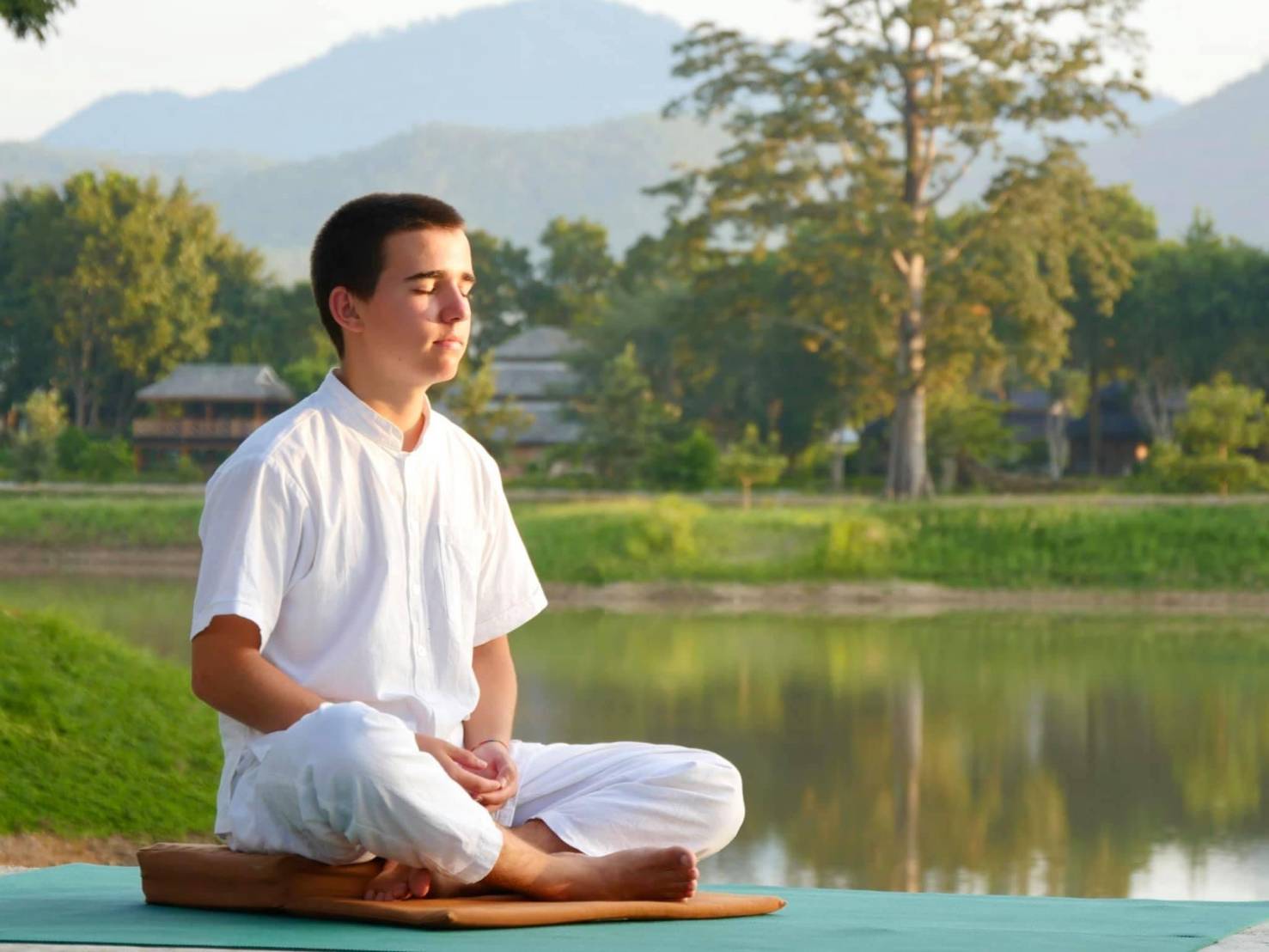 meditator nice alex meditator nice alex